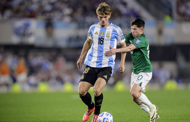 盲目投资固 盲目投资固